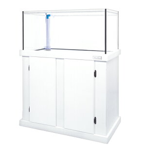 [J[@igρjI[o[t[@}[tB[h@IAVX900@zCg@sEʓr