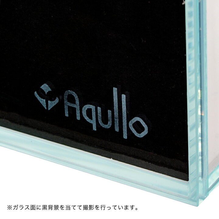 楽天市場】ガラス水槽 アクロ60 スーパークリア 60×30×36cm 