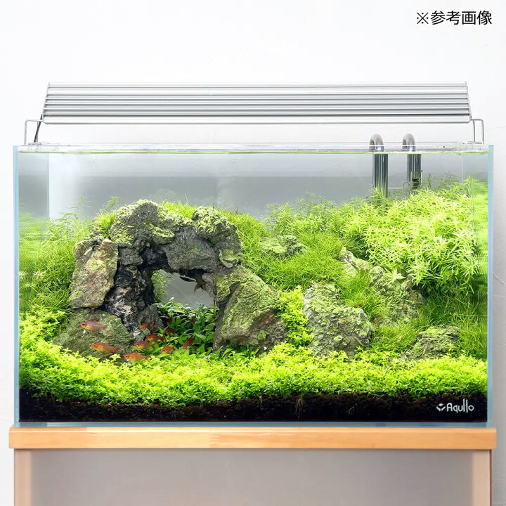 楽天市場 ６０ｃｍ水槽 単体 スーパークリア アクロ６０ｓ ６０ ３０ ３６ｃｍ オールガラス水槽 ａｑｕｌｌｏ お一人様１点限り 沖縄別途送料 関東当日便 Charm 楽天市場店