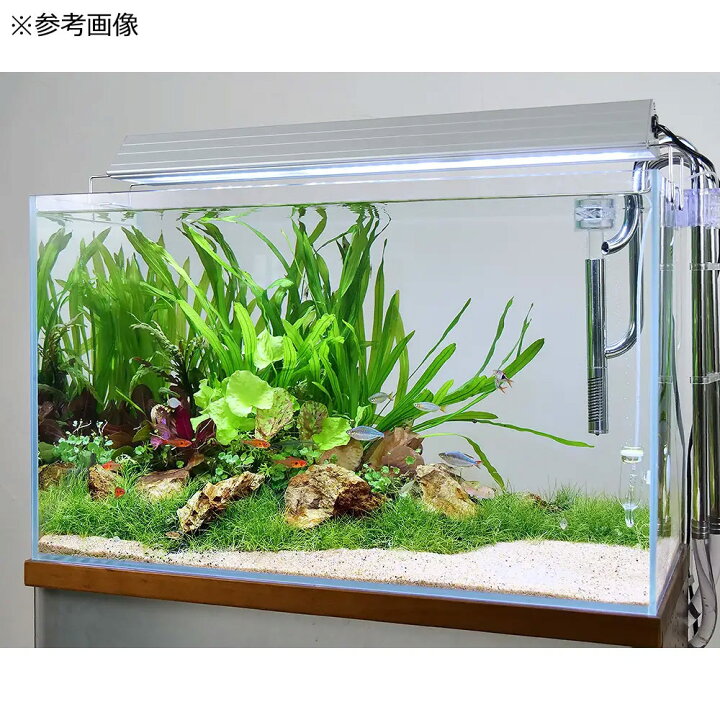 楽天市場】ガラス水槽 スーパークリア アクロ60S（60×30  
