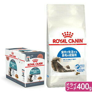 CJi@L@Ő钷т̐Lp@hCt[h@400g@Wbv{ыʂɔz@pE`12܁@ll5_@֓