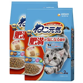 キャットフード　ねこ元気　肥満が気になる猫用　2．0kg×2袋【HLS_DU】　関東当日便