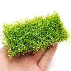 ij琬ρ@VA@v[gitji_ji3j@kCEBq֗vۉ