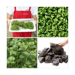 ijO[^@60cmCAEgZbgitj@{Bl