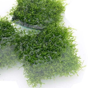 ij琬ρ@VA@^C@itji_ji5j@kCEBq֗vۉ