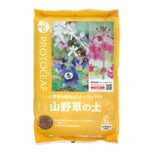 |{y@vg[t@R쑐̓y@5L@֓