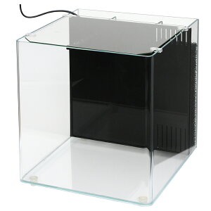 ANAVXe@Zbg@wʂߐ@XvO@R330@60Hz@ll2_@֓