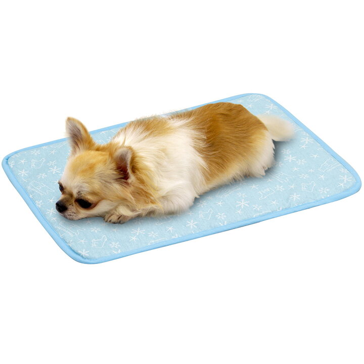 市場 マラソン期間ポイント全品5倍 ガリガリ君 犬猫用マット