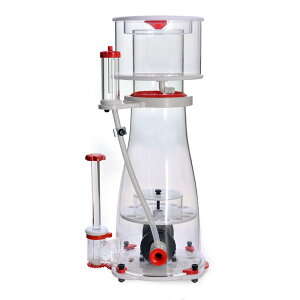 [XC@veCXL}[@Genesis@DC900@֓