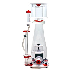 [J[@[XC@veCXL}[@Genesis@DC1500@sEʓr