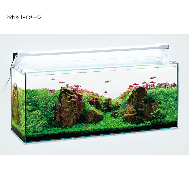 楽天市場 ｇｅｘ クリアｌｅｄパワースリム ６００ ホワイト 薄型 ライトリフト付き １０００ｌｍ 関東当日便 Charm 楽天市場店