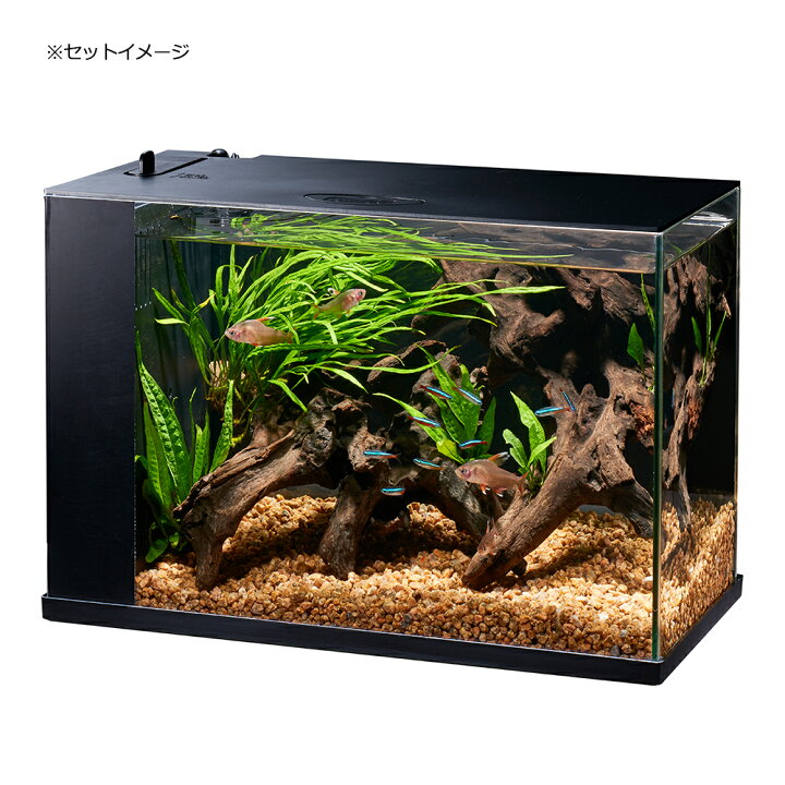 楽天市場 ｇｅｘ 水槽セット ラクテリア ブラック 初心者 お一人様２点限り 関東当日便 Charm 楽天市場店