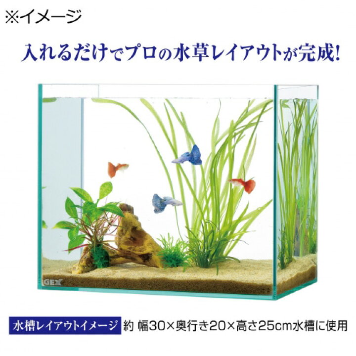 楽天市場】GEX 癒し水景 水草付き流木 ニードル アクアリウム 水槽 