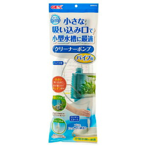 GEX@NN@N[i[|v@pCvt@@|@֓