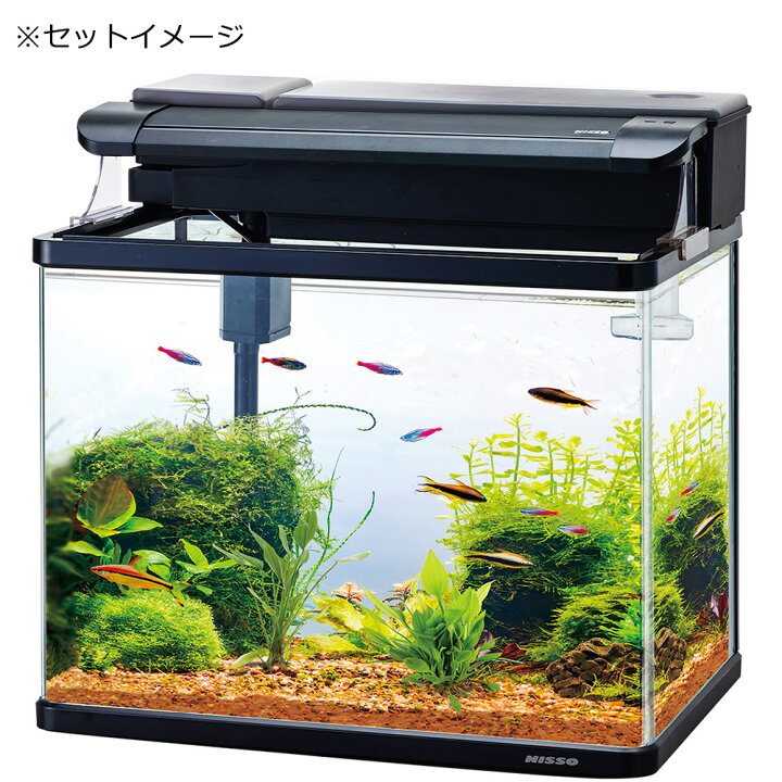 値下げ?90cm✖️45cm✖️45cm ニッソー水槽一式