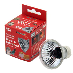 ybgybg][@}CNCtbh@20W@֓