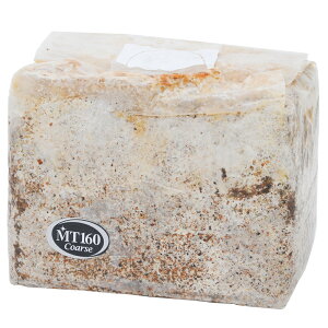 ێubN@n@MT|160@@3D6L@Corse@eIK^Cv@eځ@V^P