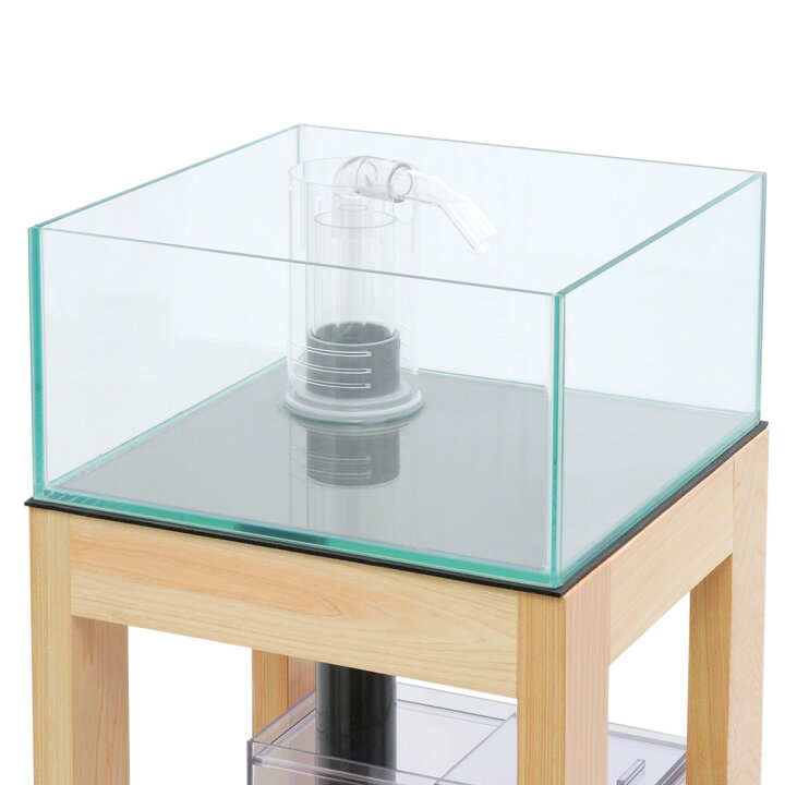 楽天市場 クロミス空見 ３０ｃｍ水槽 ロータイプ 水槽単体 ３００ ３００ １５０ｍｍ お一人様１点限り 沖縄別途送料 関東当日便 Charm 楽天市場店