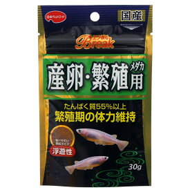 エンゼルBreak　産卵・繁殖メダカ用　30g　メダカの餌　繁殖【HLS_DU】　関東当日便