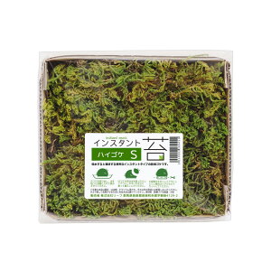 CX^gہ@nCSPS@Oa14cm×12cm@hC^Cv@SP@֓