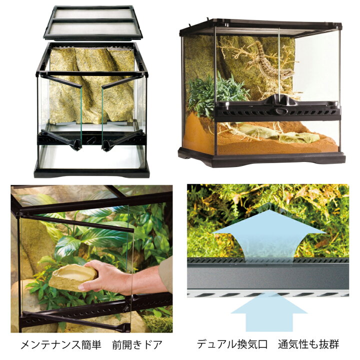 楽天市場】本格派テラリウムの基礎 7点セット お一人様2点限り 関東  