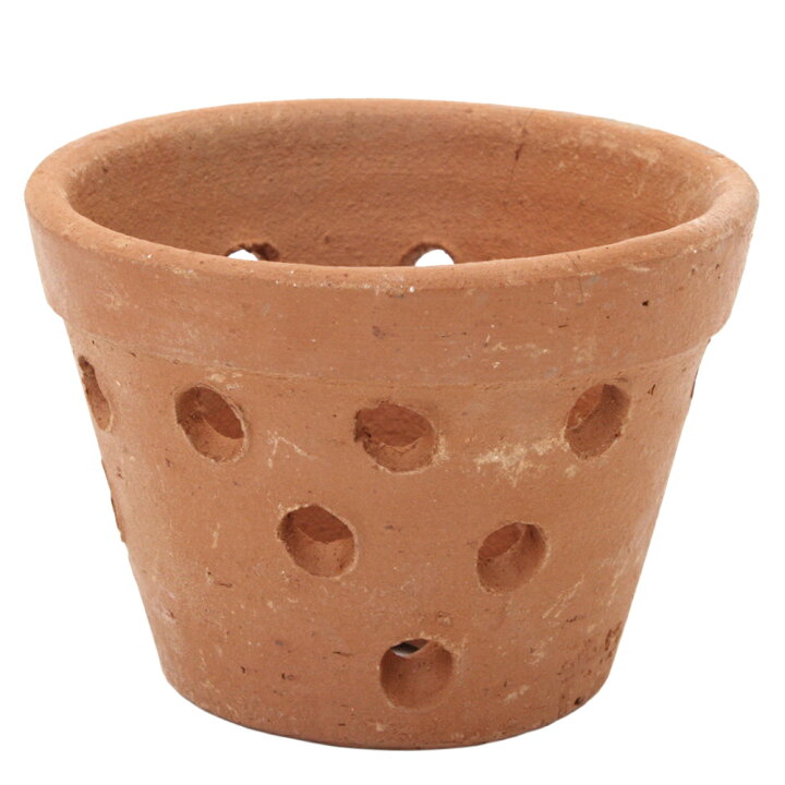 楽天市場 着生植物用 穴あき素焼き鉢 a400 エアープランツ ラン 関東当日便 Charm 楽天市場店 楽天市場 着生植物用 穴あき素焼き鉢 a400 エアープランツ ラン 関東当日便 Charm 楽天市場店