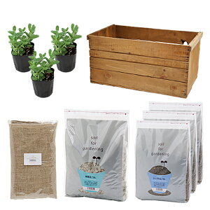 iϗtAj񂲔K[f@Abv~g͔|Zbg@AeB[Ndā@܁Ey΍E|{yt@s