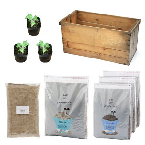 iϗtAj񂲔K[f@LDLbgjbv͔|Zbg@h@܁Ey΍E|{yt@ll1_@s@֓