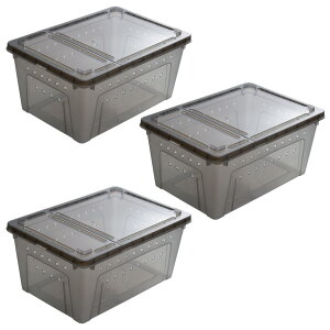 ঒ރP[W@u[h{bNX@LTCY@ubN@32×22×15cm×3@֓