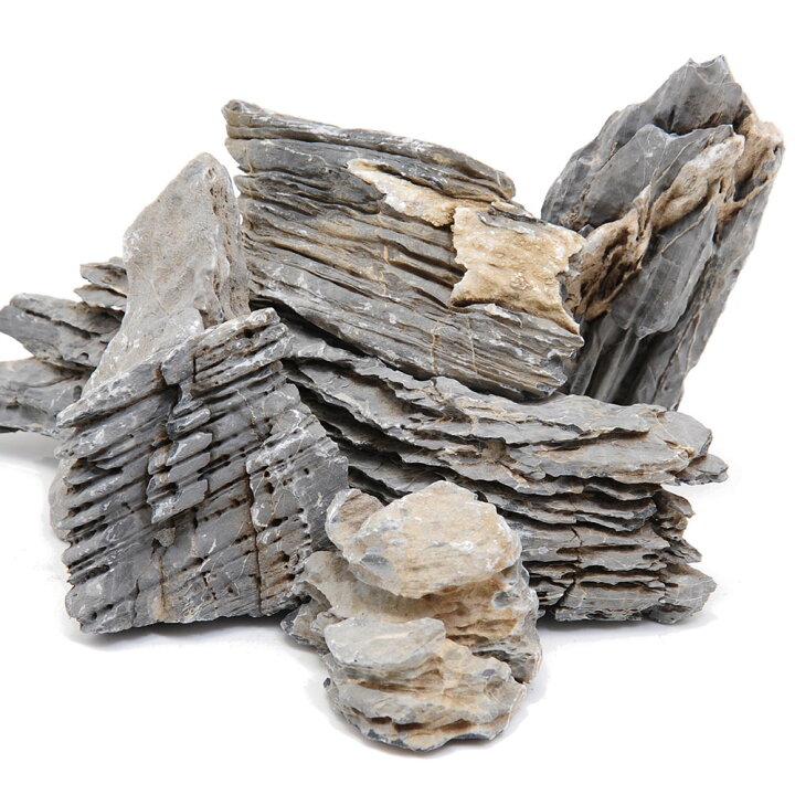 楽天市場】形状お任せ 積層石 サイズミックス 10kg 60cm水槽  