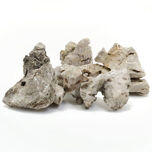 形状お任せ 白風石 サイズミックス 10kg 60cm水槽向け アクアリウム レイアウト素材 関東当日便