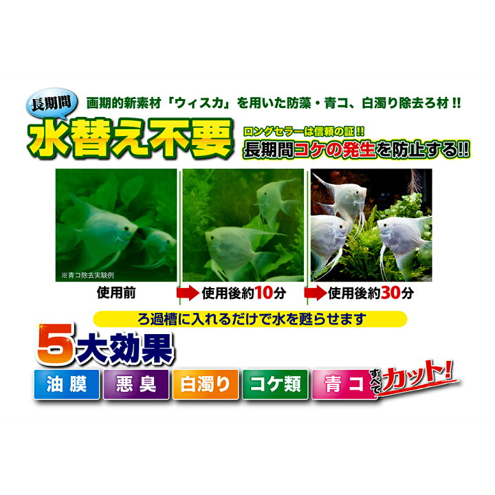 ジェックス アクアピュアミニ 水かえ無用白濁り青コ除去 15周年記念イベントが 水かえ無用白濁り青コ除去 ジェックス アクアピュアミニ 水かえ無用白濁り青コ除去 15周年記念イベントが 水かえ無用白濁り青コ除去