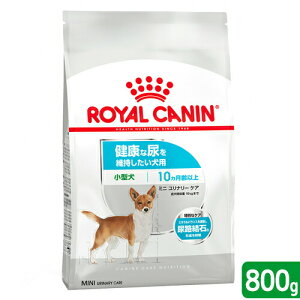 CJi@NȔAێp@^`^p@~j@i[@PA@10ȏ@800g@WbvtihbOt[h@hCj@֓