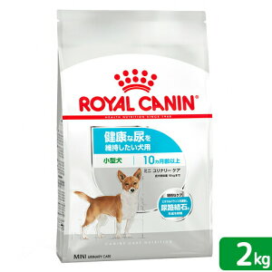 CJi@NȔAێp@^`^p@~j@i[@PA@10ȏ@2kg@WbvtihbOt[h@hCj@֓