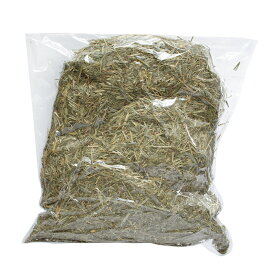 選別漏れ　アメリカ産チモシー　一番刈　ダブルプレス　3kg　牧草　うさぎ　小動物　牧草　お一人様2点限り　関東当日便