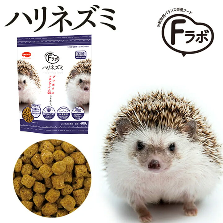楽天市場】初めてのハリネズミ飼育セット 関東当日便 : charm 楽天市場店 