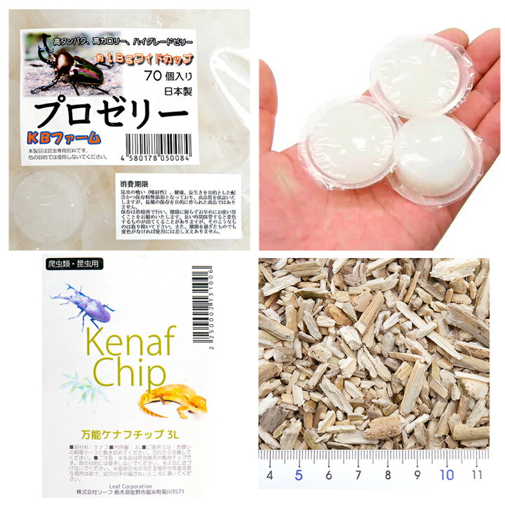 市場 フジコン 昆虫 ブリードカップ 昆虫用その他飼育用品