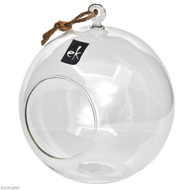 楽天市場 エアープランツ 花瓶 インテリア小物 置物 インテリア 寝具 収納の通販