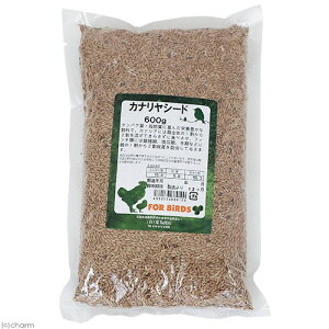 �r�׏��X�@�J�i�����V�[�h�@600g�@�֓�������