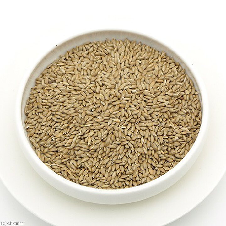 129円 逆輸入 アラタ 自然素材 カナリアシード 700g 鳥 小動物 エサ 129円 逆輸入 アラタ 自然素材 カナリアシード 700g 鳥 小動物 エサ