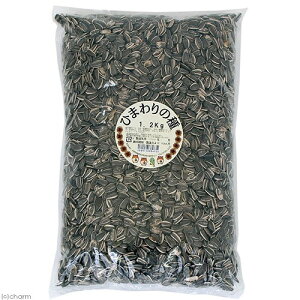 r׏X@Ђ܂̎@1D2kg@֓