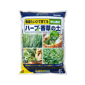 |{y@Ԃ@n[uE̓y@5L@ll12_@֓