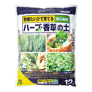 |{y@Ԃ@n[uE̓y@12L@ll6_@֓