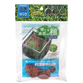 ニッソー　育てる水草の種　グリーンカーペット＆ロック【HLS_DU】　関東当日便