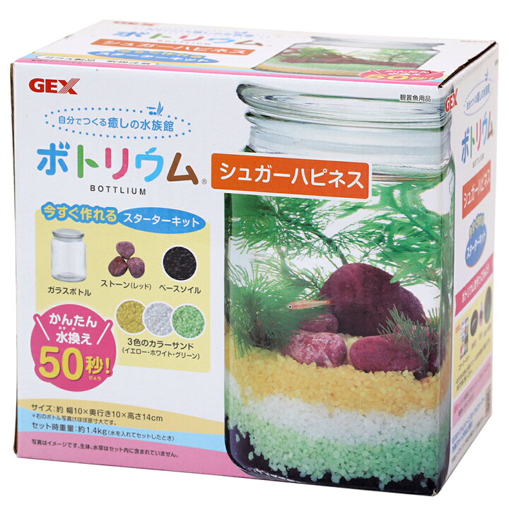 楽天市場 ｇｅｘ ボトリウム シュガーハピネス 関東当日便 Charm 楽天市場店