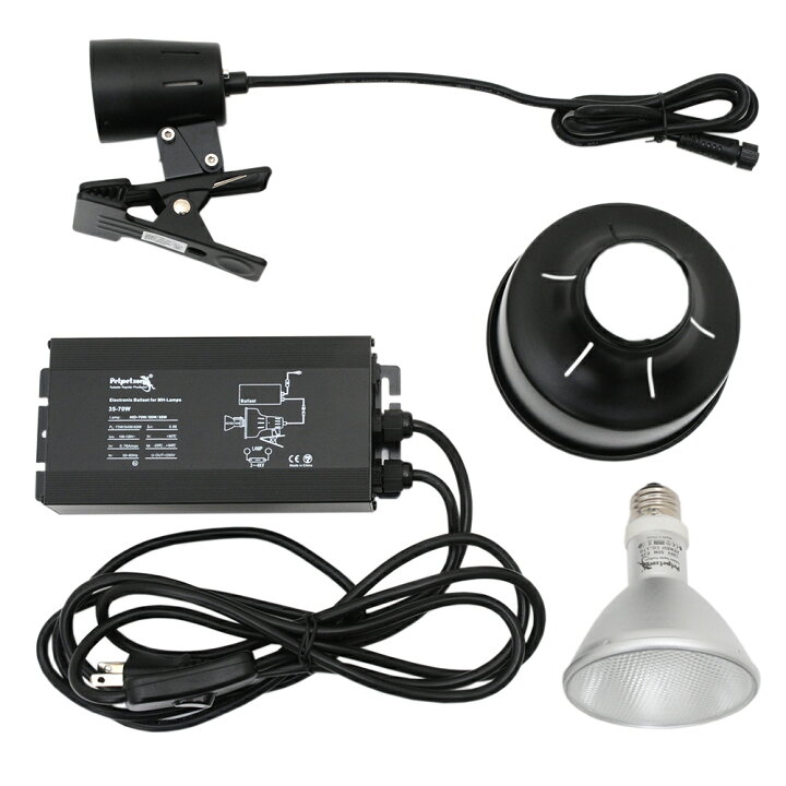 楽天市場 ペットペットゾーン ソラリウム ５０ｗ ランプ 交換球 ソケットセット 爬虫類 ライト 紫外線 沖縄別途送料 関東当日便 Charm 楽天市場店