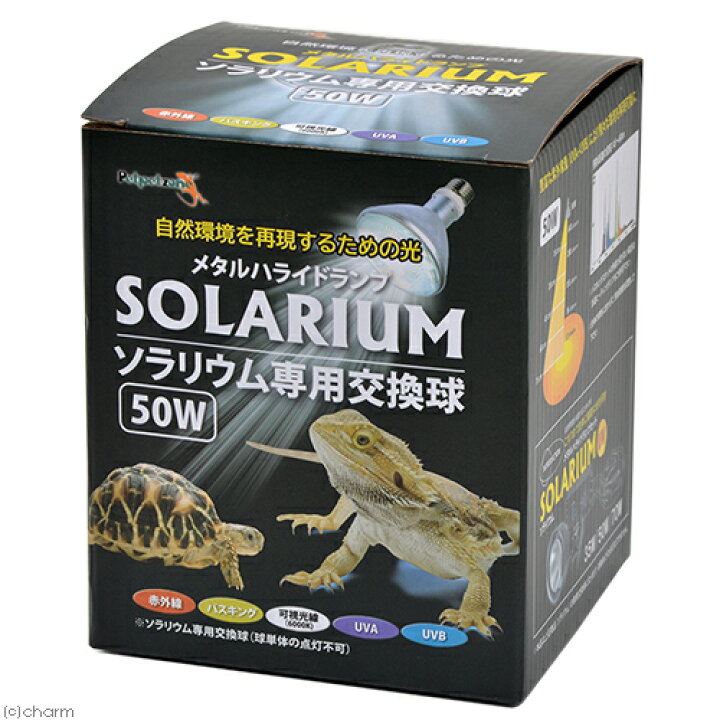 楽天市場】ペットペットゾーン ソラリウム 50W 交換球 