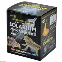 楽天市場】爬虫類 メタルハライドランプの通販