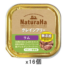 サンライズ　ナチュラハ　グレインフリー　ラム　100g×16　関東当日便