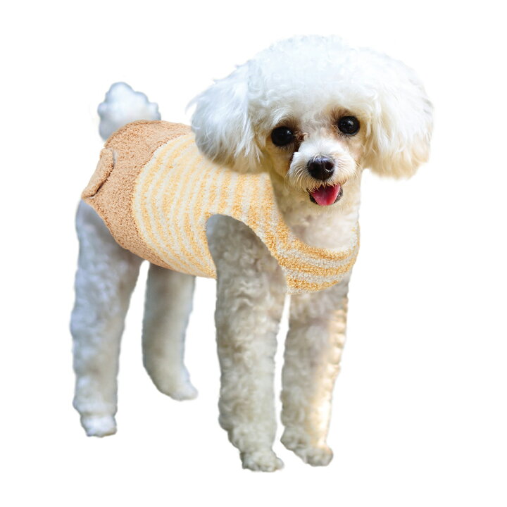 ポイント10倍】 レインボー メッシュのみつばち SS 犬用 服 メッシュ素材 関東当日便 ペットプロ ナチュラルコットンロープTOY レインボー Sサイズ 犬用おもちゃ